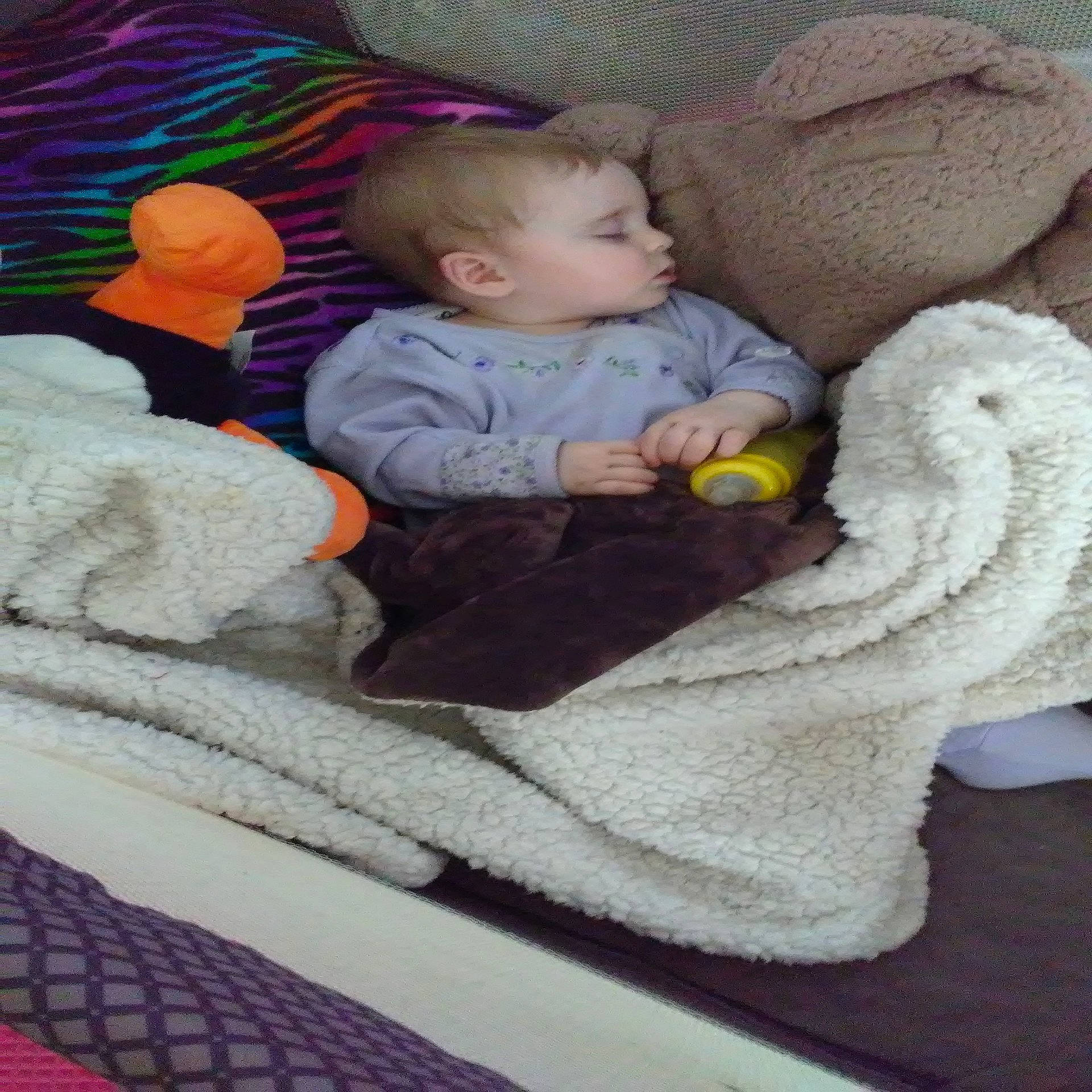 Arabella joined the competition — help win amazing prizes!