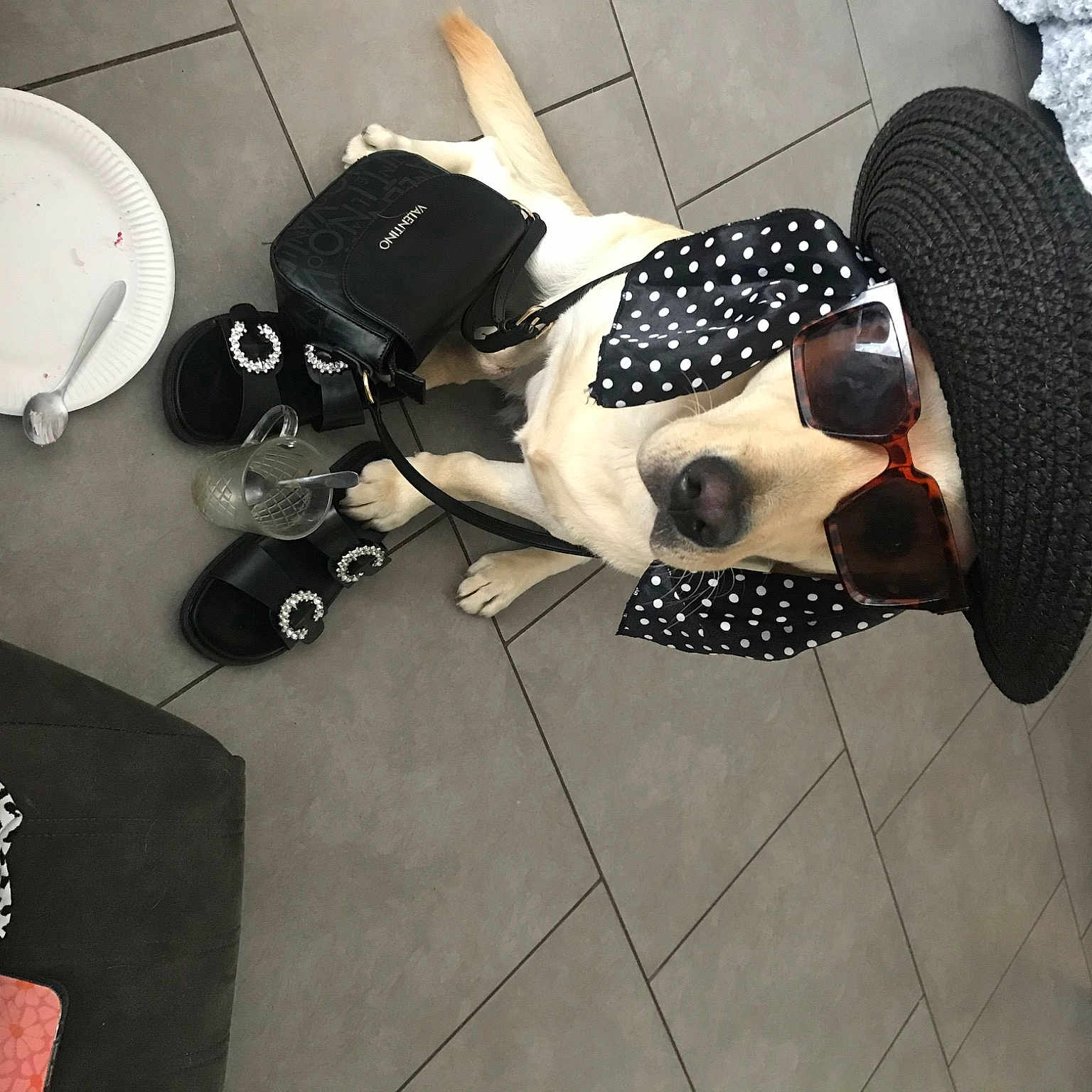 Tiane participe au concours pour gagner de l'argent avec cette photo : automotive_design, black_hair, elbow, eyewear, fashion_accessory, flooring, fun, goggles, human_leg, joint, knee, paper_towel, pattern, personal_protective_equipment, shoe, sunglasses, thigh, vision_care, white, wrist