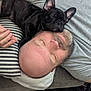 beard, black_dog, casual, closed_eyes, comfort, couch, dog, french_bulldog, gray_shirt, home, indoor, man, nap, pet, pillow, relaxing, resting, sleeping, striped_pillow, tattoo
