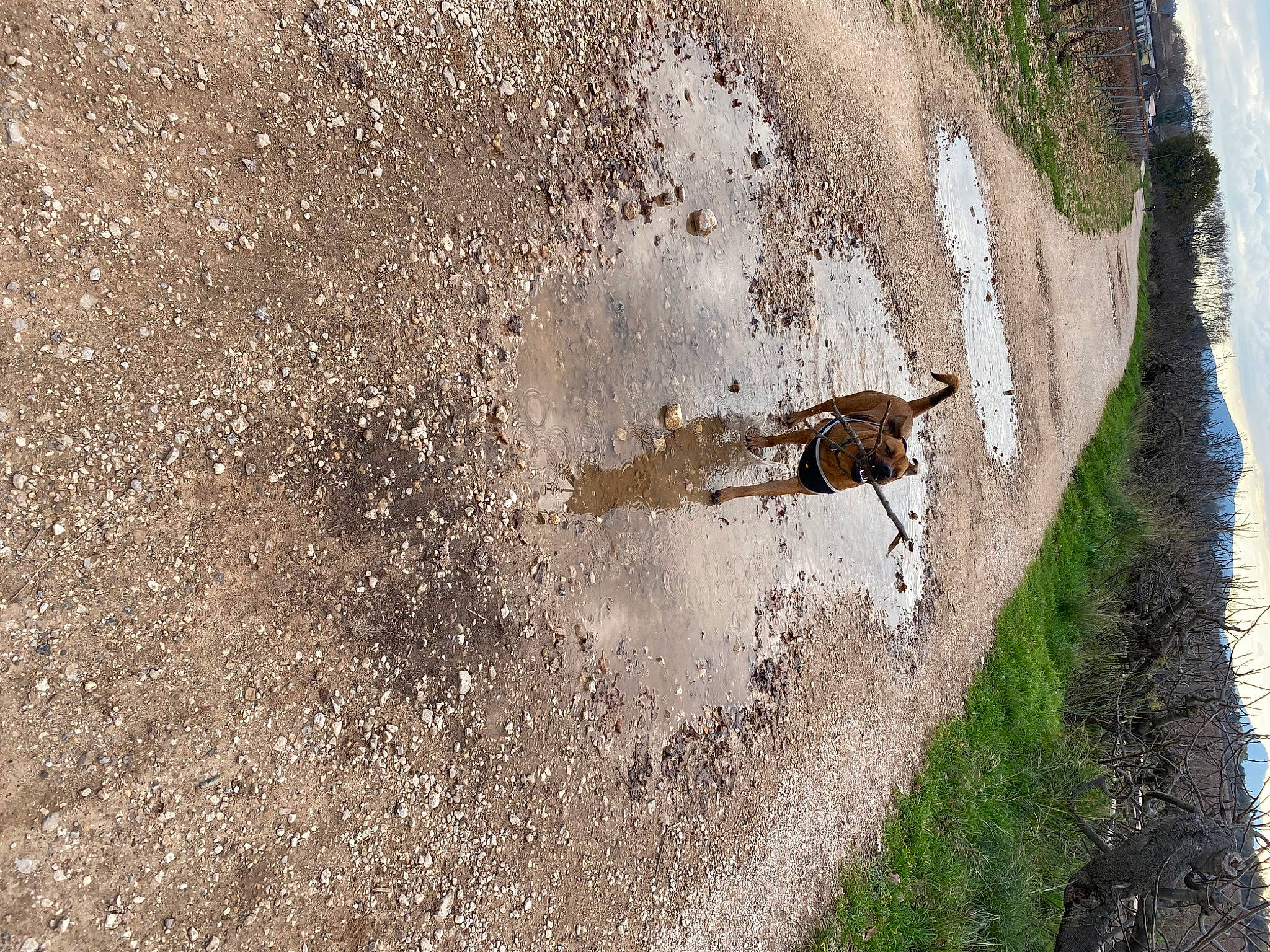 Naps a rejoint le concours — aidez-le/la à gagner de superbes lots ! bug, insect, membrane_winged_insect, pest, plant, road, soil, sporting_group, water, wildlife
