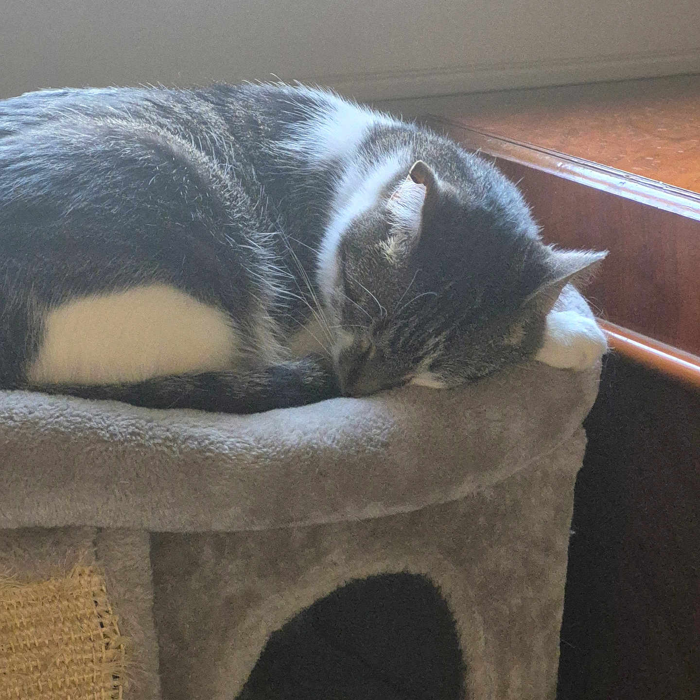 Sebastian