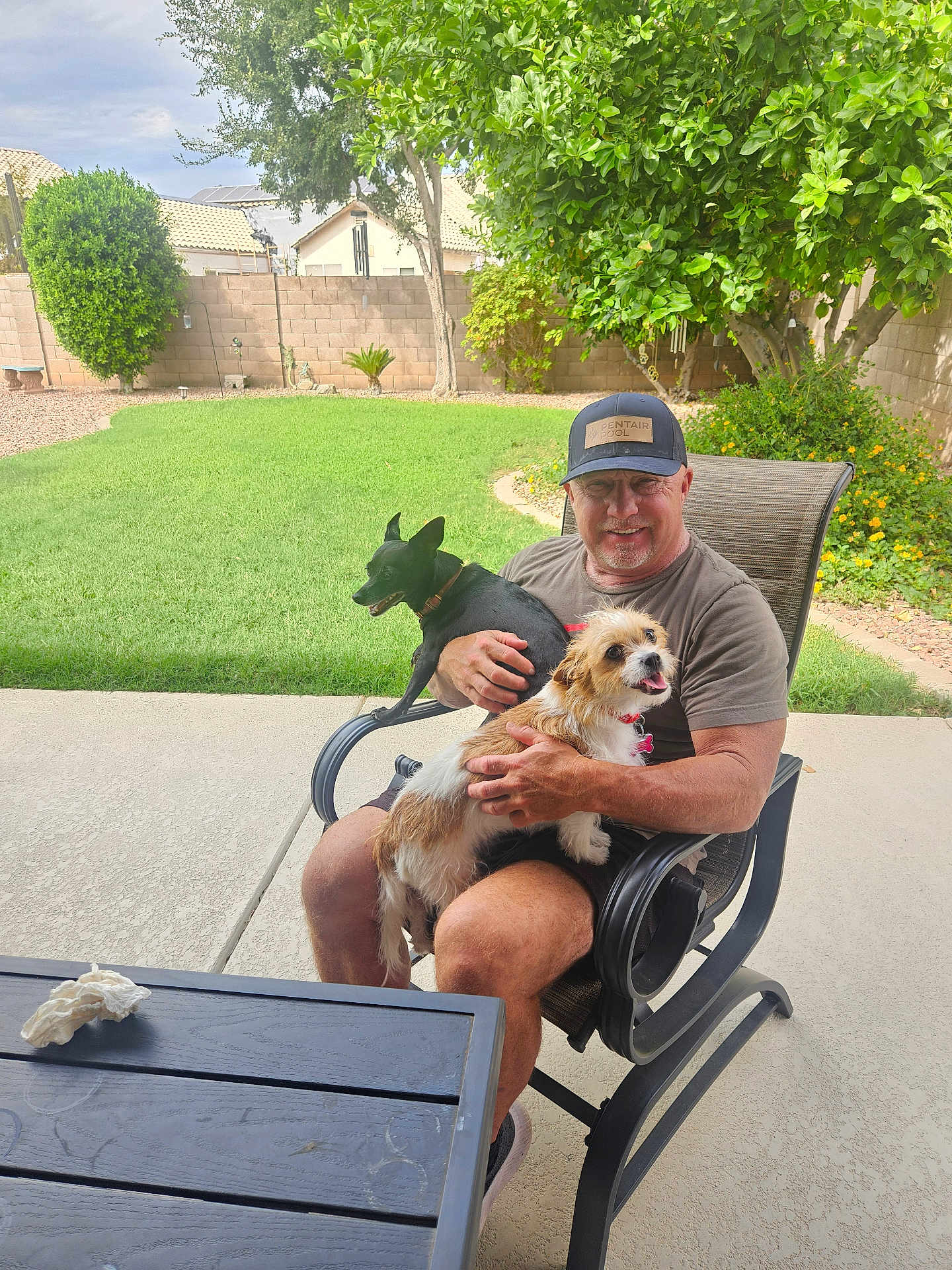 Roxy And Stella is registered to the contest to win money with this photo: man, dog, black_dog, brown_white_dog, chair, patio, backyard, grass, tree, shrub, fence, table, cap, smile, outdoor, sunlight, relaxation, pet, leisure, summer