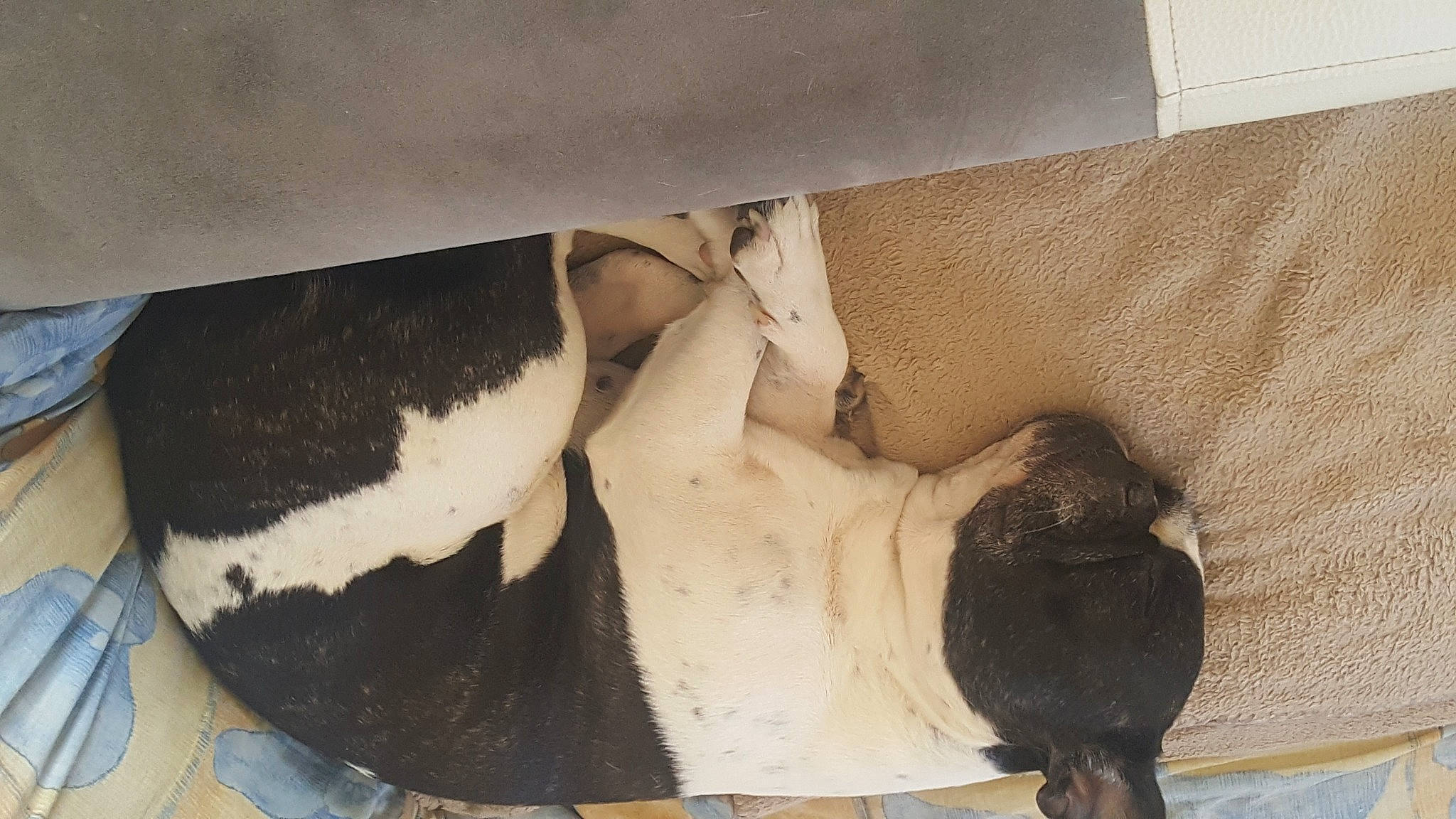 Mya participe au concours pour gagner de l'argent avec cette photo :