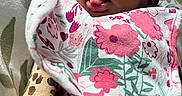 Kaylyn joined the competition — help win amazing prizes! baby, sleeping, tongue_out, floral_bib, leopard_print, blanket, pattern, face, infant, cute, resting, soft_light, closeup, child, portrait, cozy, expression, clothing, newborn, indoors