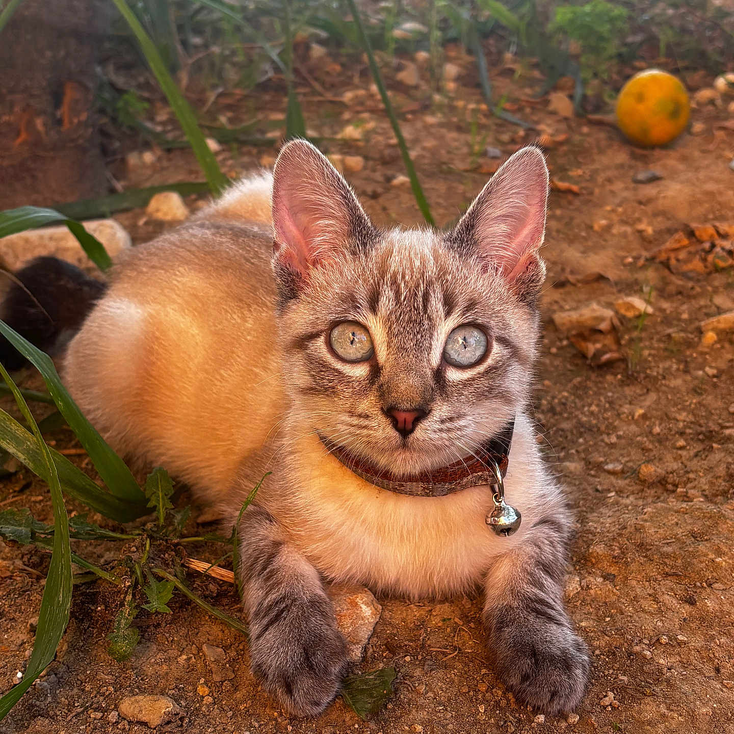 Yuki