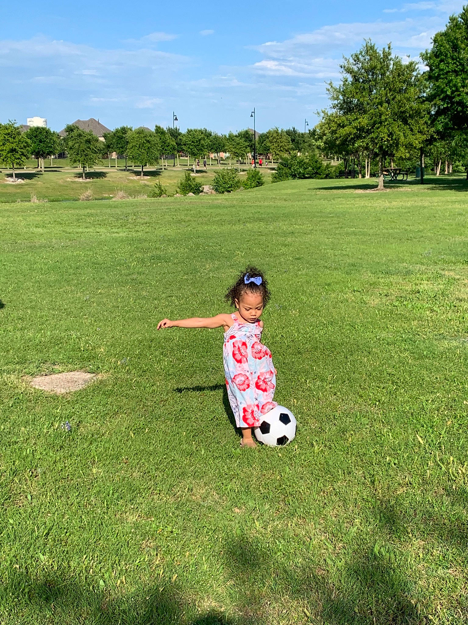 Natalya is registered to the contest to win money with this photo: child, games, garden, grass, grass_family, grassland, green, lawn, leisure, meadow, park, person, plant, play, recreation, spring, summer, toddler, tree, vacation
