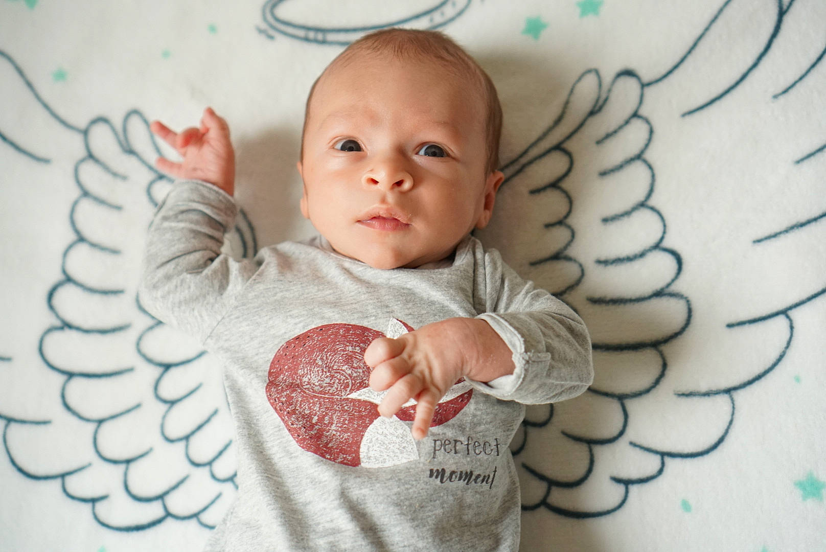 Raphaël a rejoint le concours — aidez-le/la à gagner de superbes lots ! angel, arthropod, baby, baby_products, baby_toddler_clothing, cheek, child, creative_arts, finger, gesture, insect, organ, pattern, person, pollinator, product, skin, sleeve, thumb, toddler
