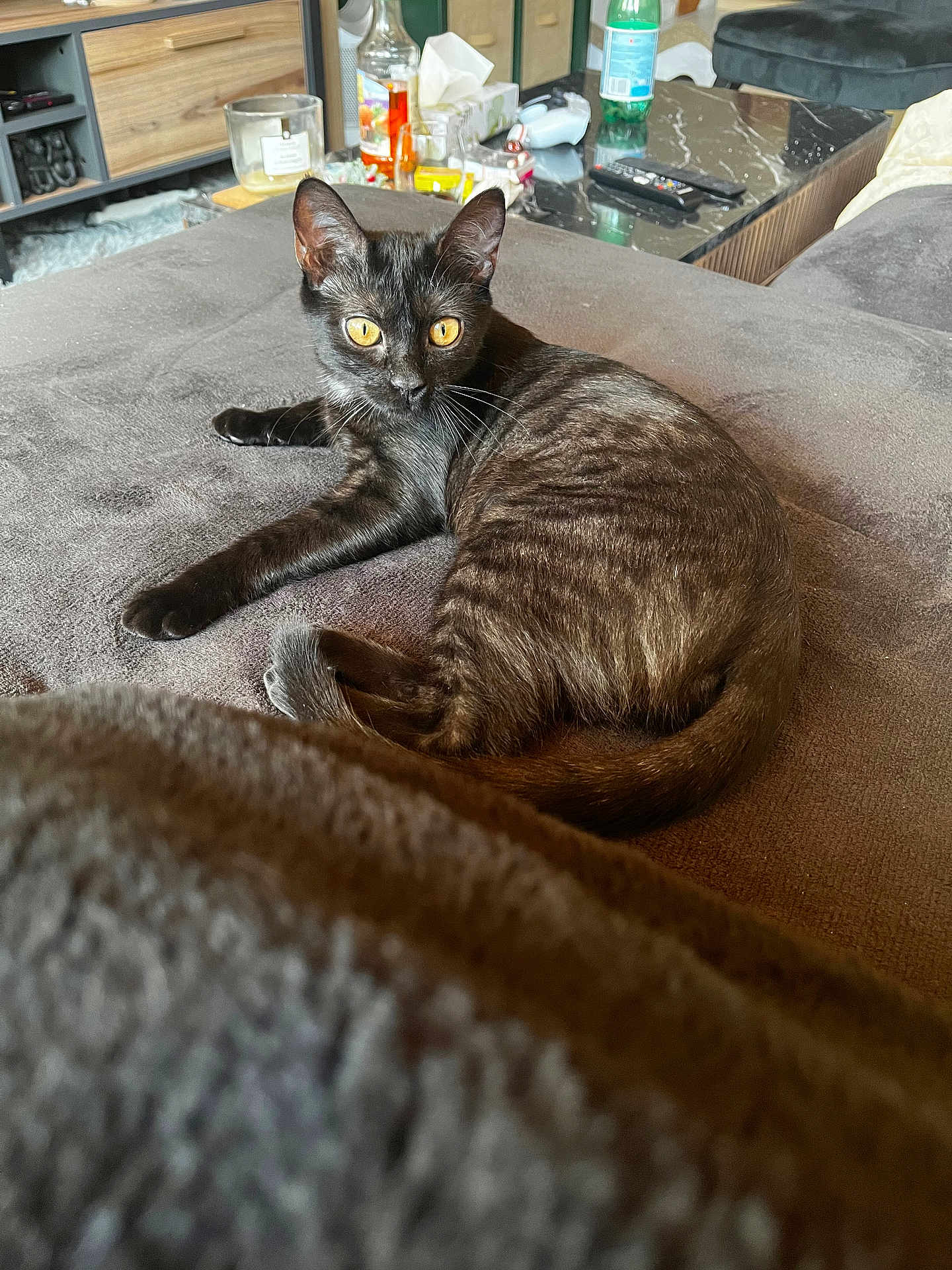 Willow