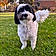 Tuffy