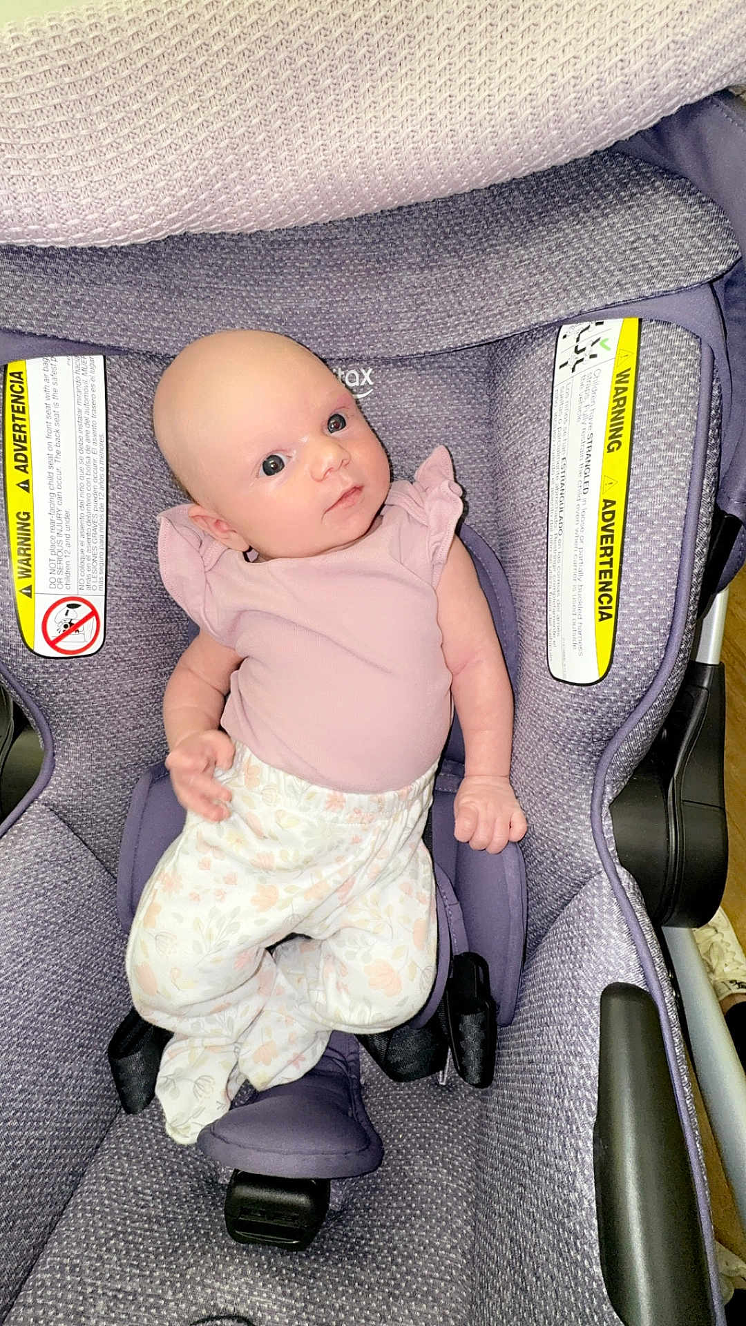 Brooklyn is registered to the contest to win money with this photo: baby, infant, car_seat, purple, pink_clothing, floral_pants, blanket, wide_eyes, indoors, child, seat_belt, fabric_texture, cute, newborn, portrait, soft_lighting, baby_girl, comfortable, sitting, curious