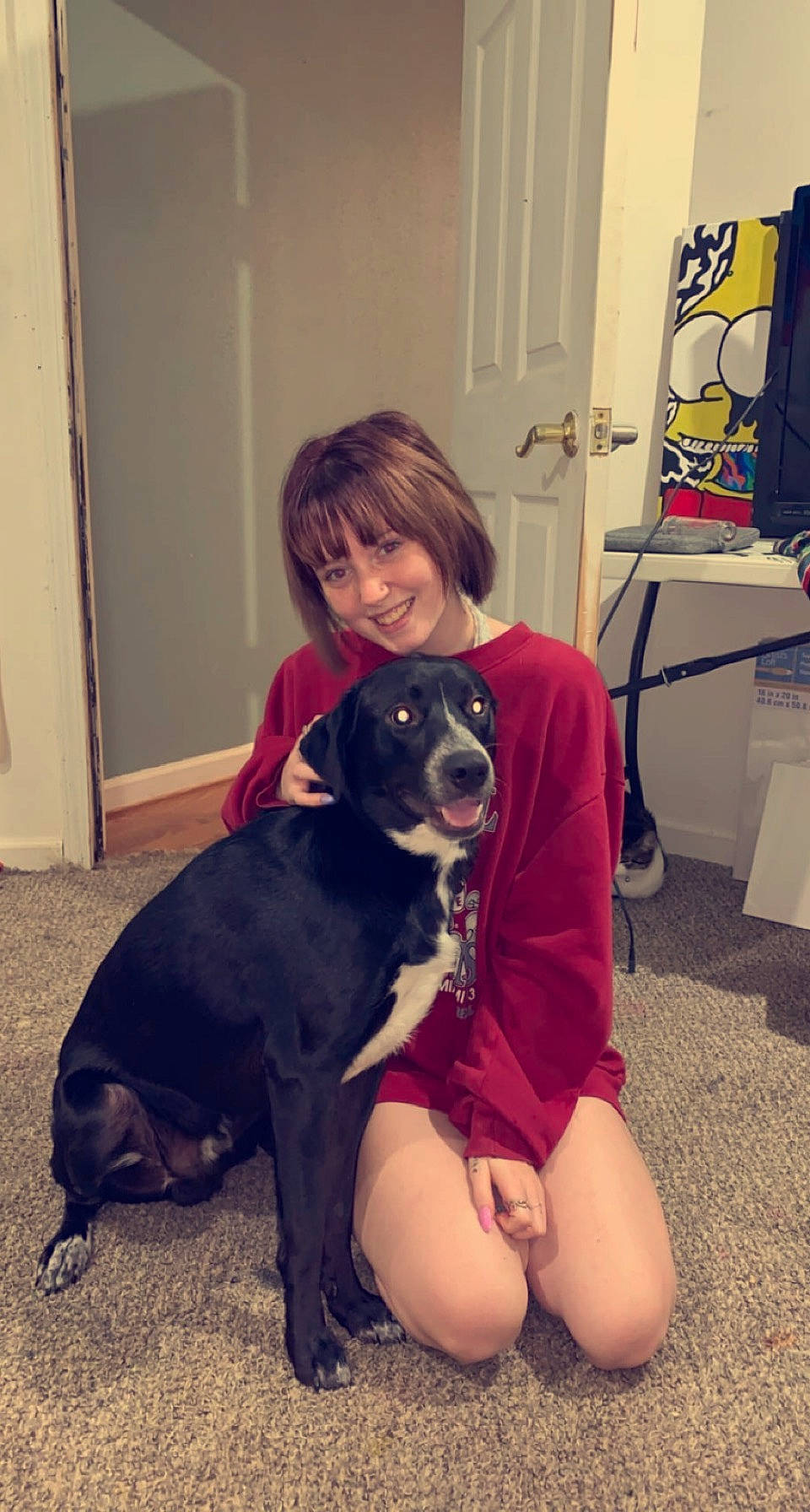 Mickey is registered to the contest to win money with this photo: canidae, carnivore, companion_dog, dog, dog_breed, ear, guard_dog, puppy, puppy_love, sitting, sporting_group