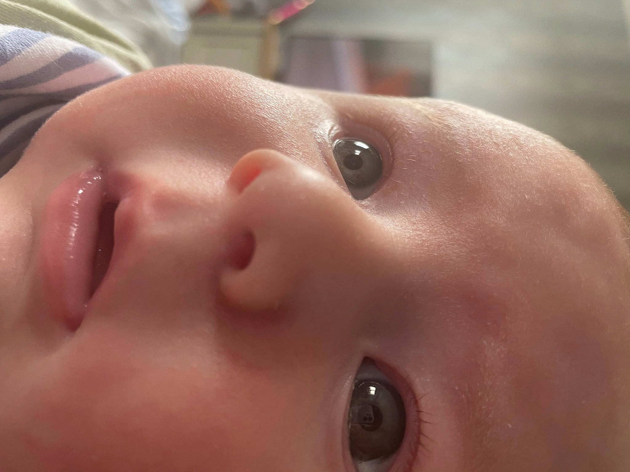 Barney joined the competition — help win amazing prizes! baby, bathing, cheek, chest, chin, close_up, ear, eyebrow, eyelash, hair, head, human_body, iris, lip, mouth, neck, nose, person, skin, smile