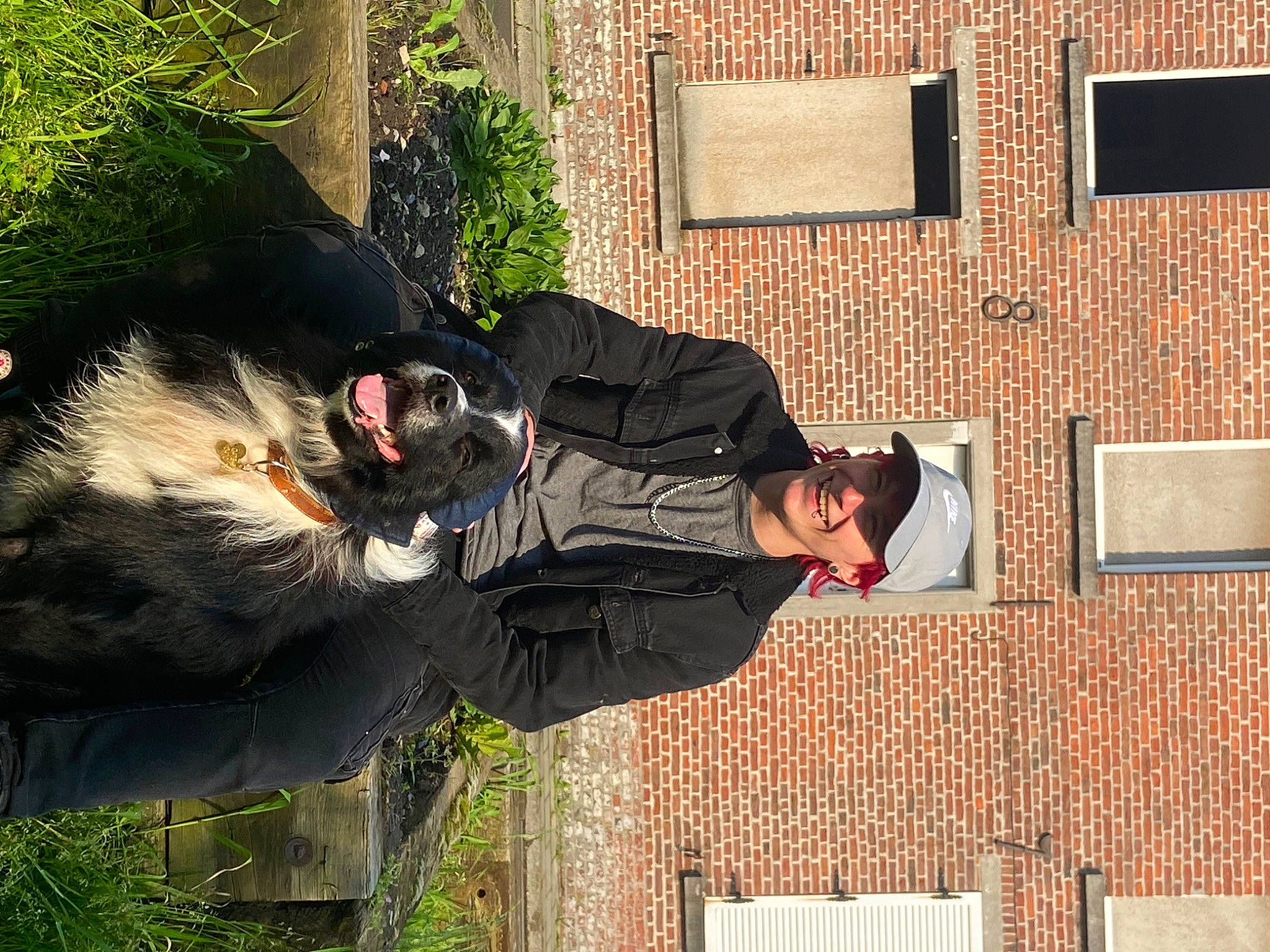 Buddy participe au concours pour gagner de l'argent avec cette photo : brick, canidae, carnivore, dog_breed, eyewear, facade, felidae, fur, grass, leaf, leisure, plant, sitting, smile, sunglasses, tail, tree, visual_arts