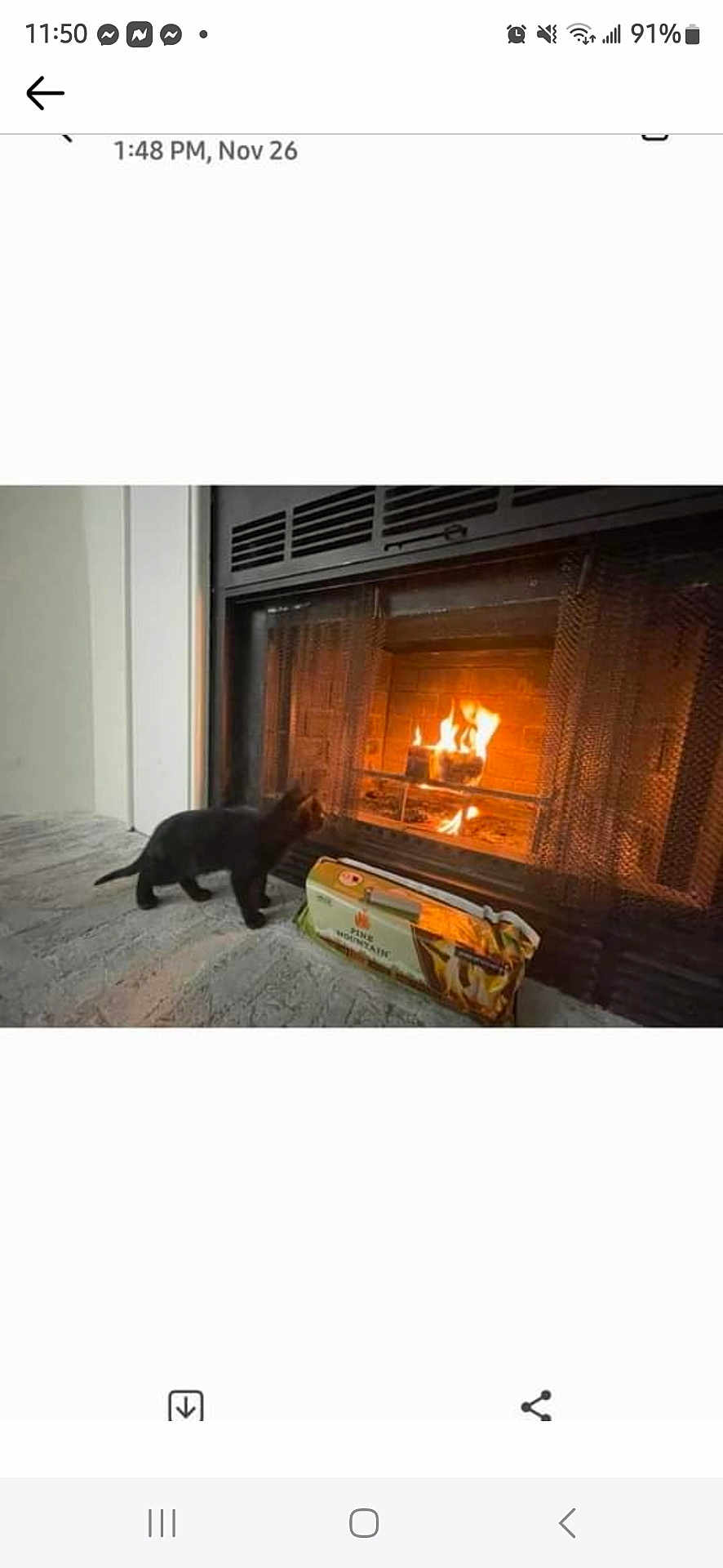 Nin is registered to the contest to win money with this photo: bag, black_cat, brick, carpet, cat, cozy, curiosity, evening, fire, fireplace, floor, hearth, home_interior, indoor, kitten, metal_grate, pet, screen_screenshot, smartphone_ui, warmth