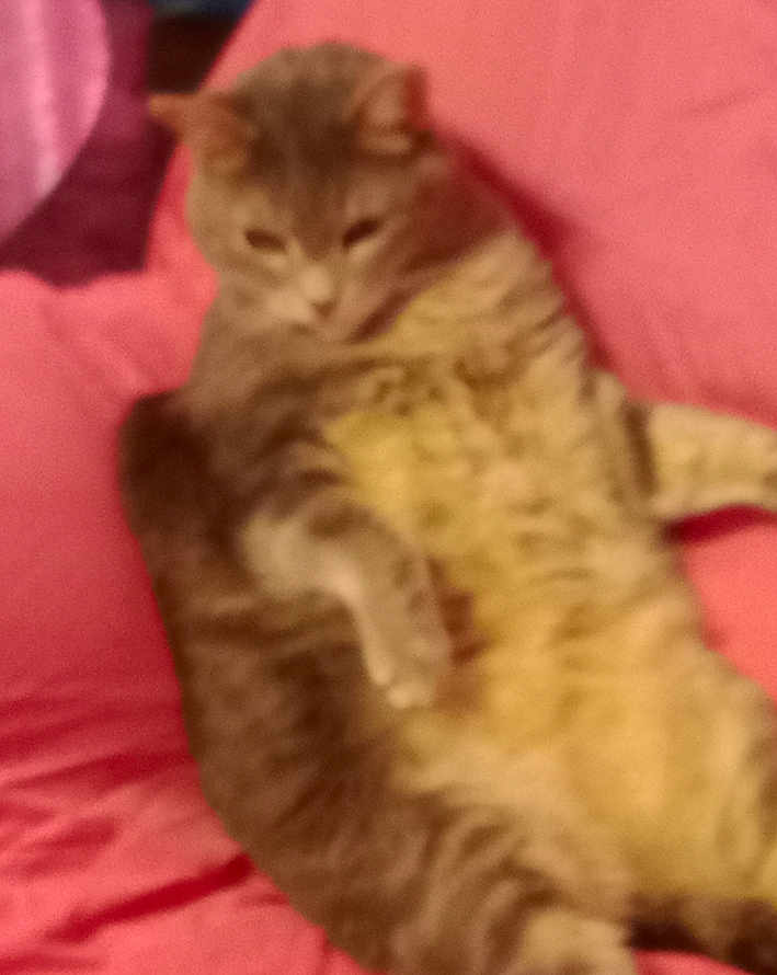 Pepper