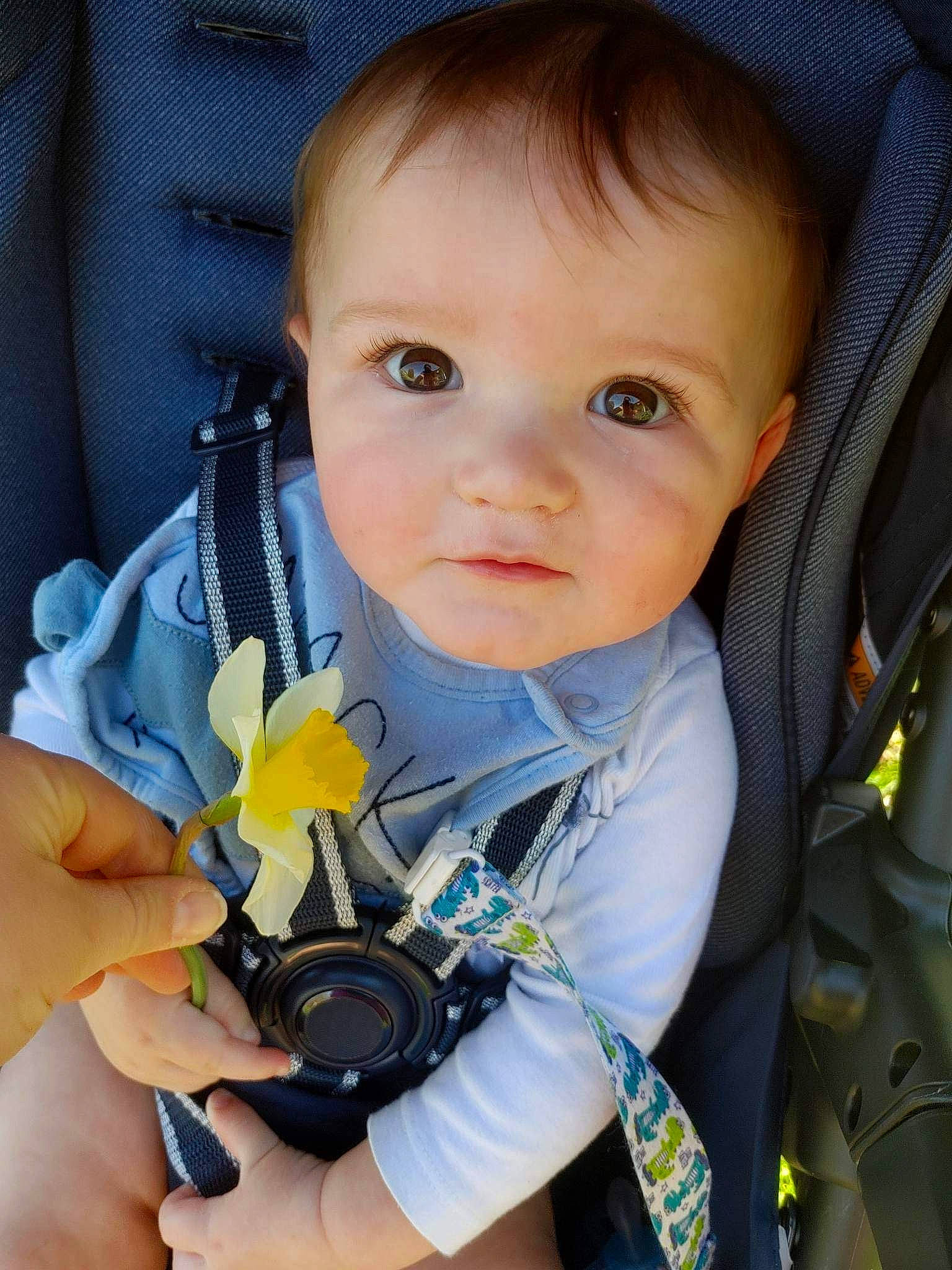 Kaden is registered to the contest to win money with this photo: azure, baby, baby_carriage, baby_toddler_clothing, beauty, child, electric_blue, finger, flower, hand, happy, iris, nail, person, petal, plant, product, rose, skin, toddler