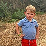 child, boy, outdoor, nature, grass, greenery, shorts, polo_shirt, standing, confident, hands_on_hips, casual_clothing, summer, portrait, young, blond_hair, expression, daylight, natural_light, background