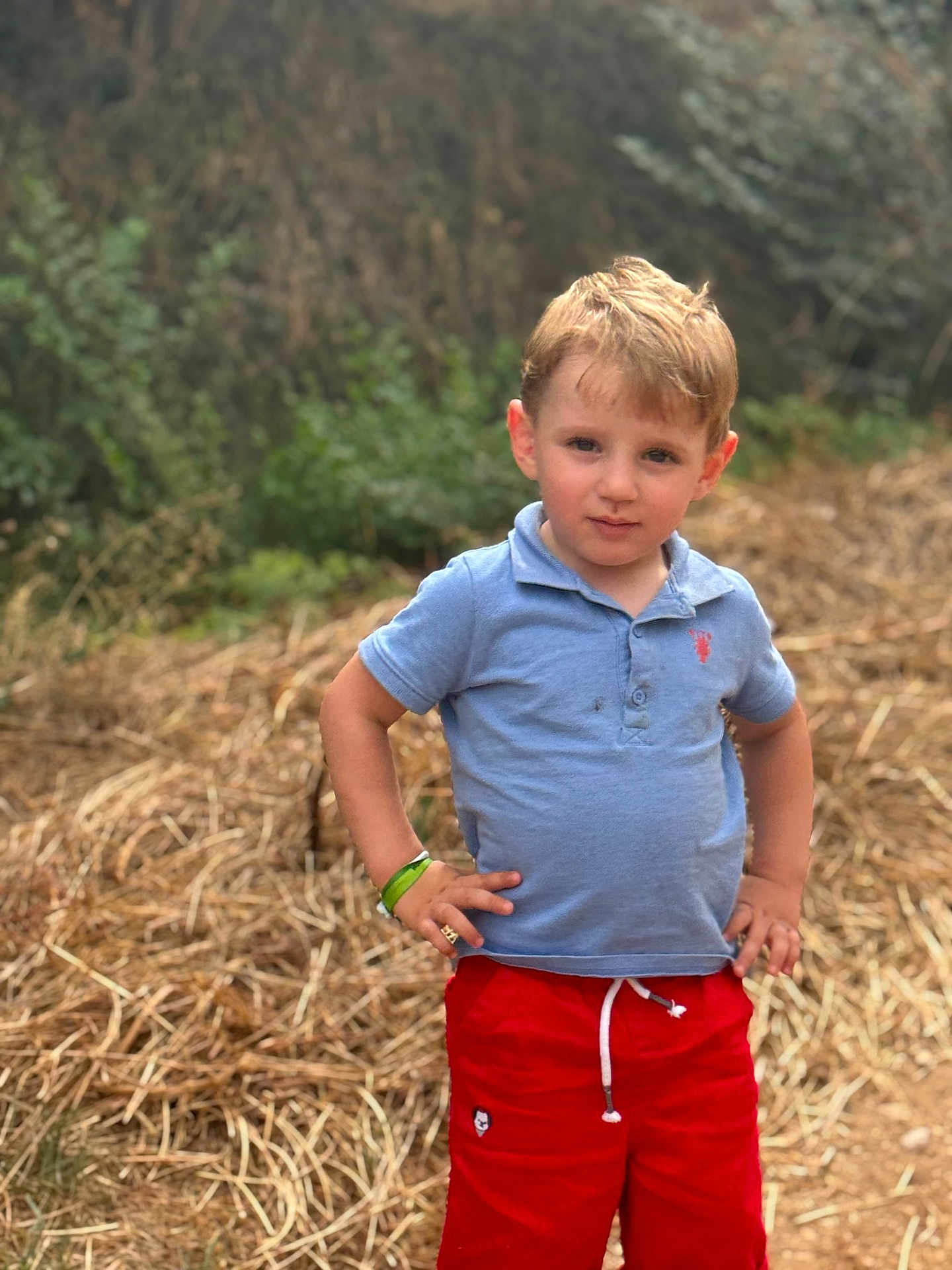 Ali Mathias participe au concours pour gagner de l'argent avec cette photo : child, boy, outdoor, nature, grass, greenery, shorts, polo_shirt, standing, confident, hands_on_hips, casual_clothing, summer, portrait, young, blond_hair, expression, daylight, natural_light, background