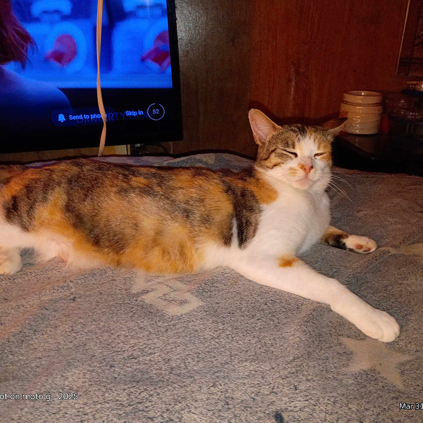 Peanut
