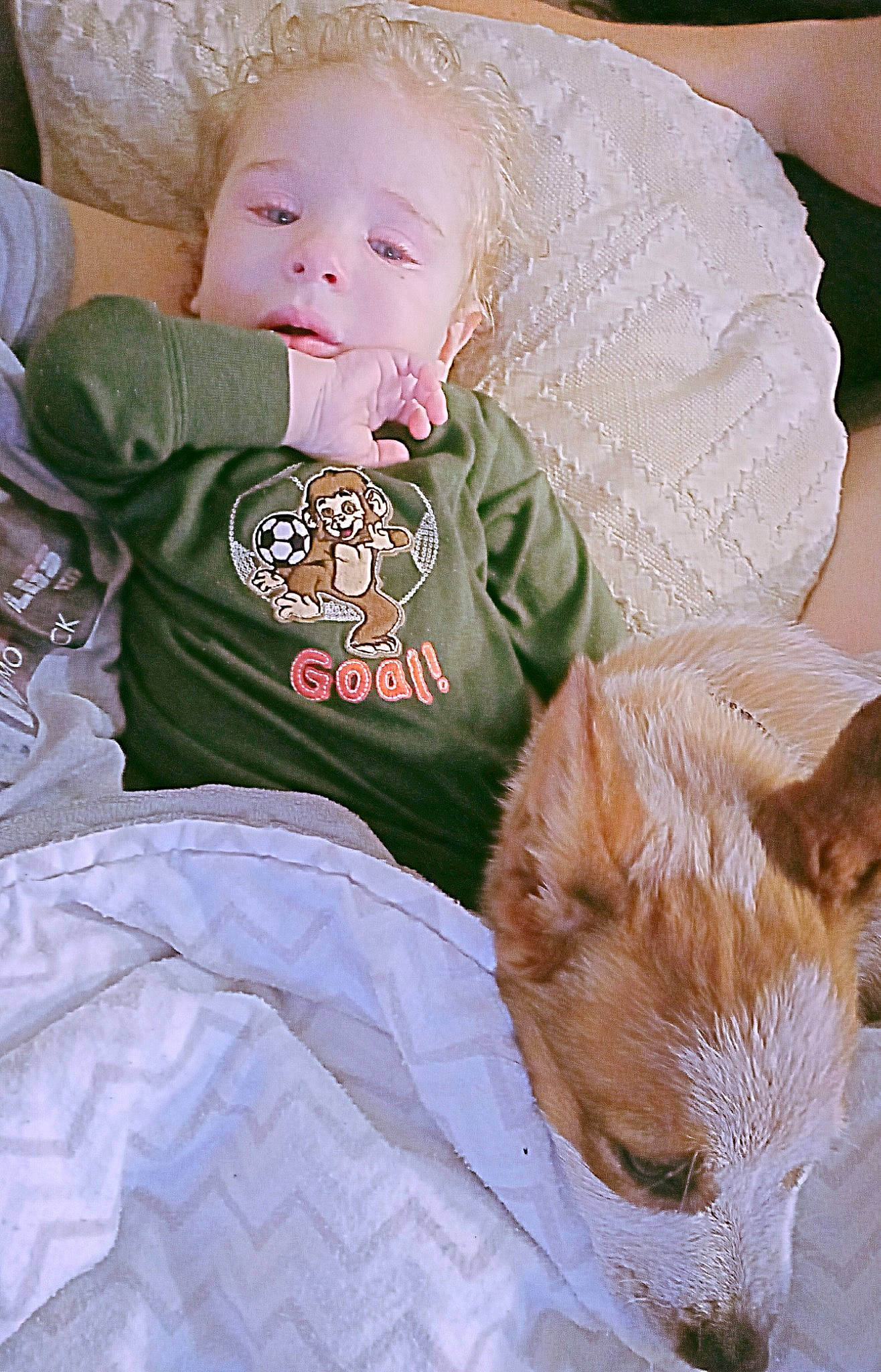 Mycah joined the competition — help win amazing prizes! baby, baby_products, baby_toddler_clothing, carnivore, child, comfort, companion_dog, dog, dog_breed, eye, face, grass, head, linens, person, sitting, skin, sleeve, t_shirt, toddler