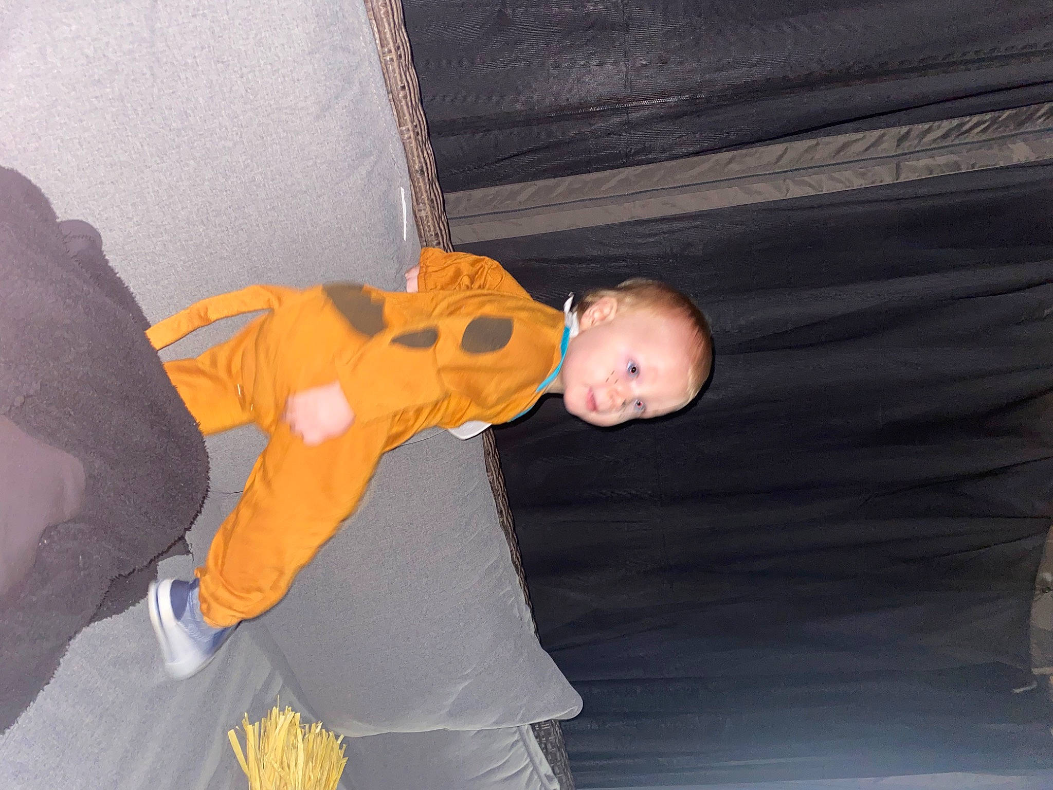 Jaxton is registered to the contest to win money with this photo: baby, baby_products, ball, child, comfort, fun, person, room, sitting, smile, stuffed_toy, suit, toddler, tree, trick_or_treat, wood