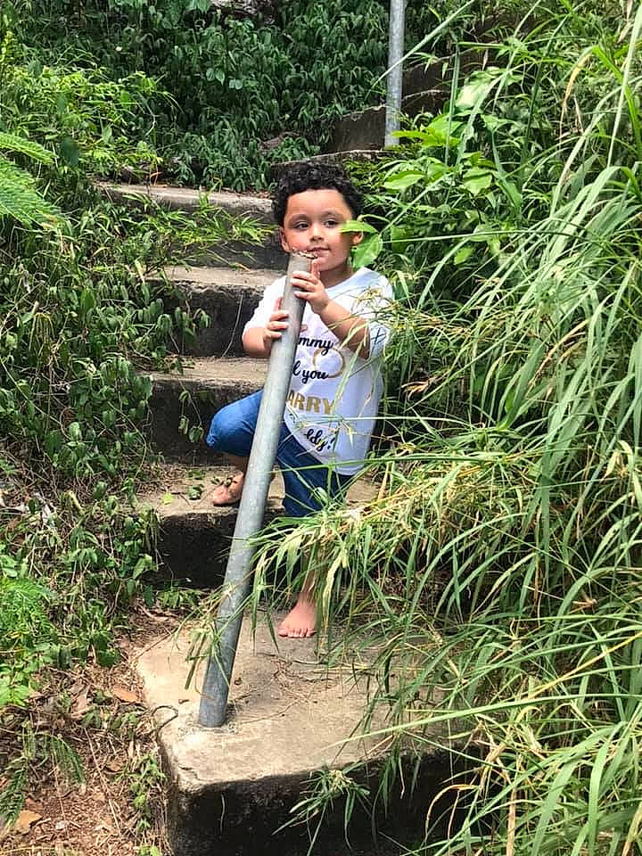 Lionel is registered to the contest to win money with this photo: botany, grass, grass_family, jungle, person, plant