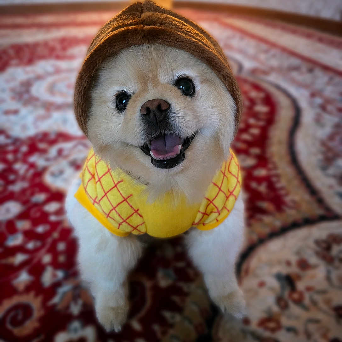 Duke
