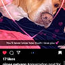 affection, animal, bed, blanket, caring, closeup, cute, digital_effects, dog, domestic_animal, face, fur, hand, heart, instagram_post, love, pet, pink, sleeping, text_overlay