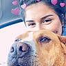 affection, animal, brown_dog, car_interior, casual, close_up, companionship, cute, dog, friendship, happy, heart_filter, human, indoor, love, messy_bun, pet, portrait, selfie, woman