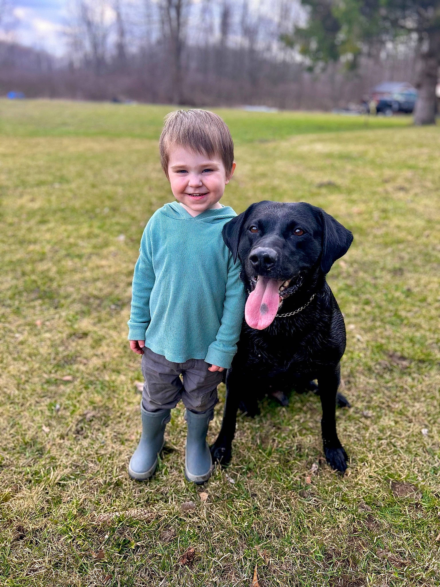 Buddy is registered to the contest to win money with this photo: borador, canidae, carnivore, companion_dog, dog, dog_breed, grass, grassland, guard_dog, gun_dog, happy, mammal, people_in_nature, plant, pointing_breed, retriever, sky, smile, toddler, tree