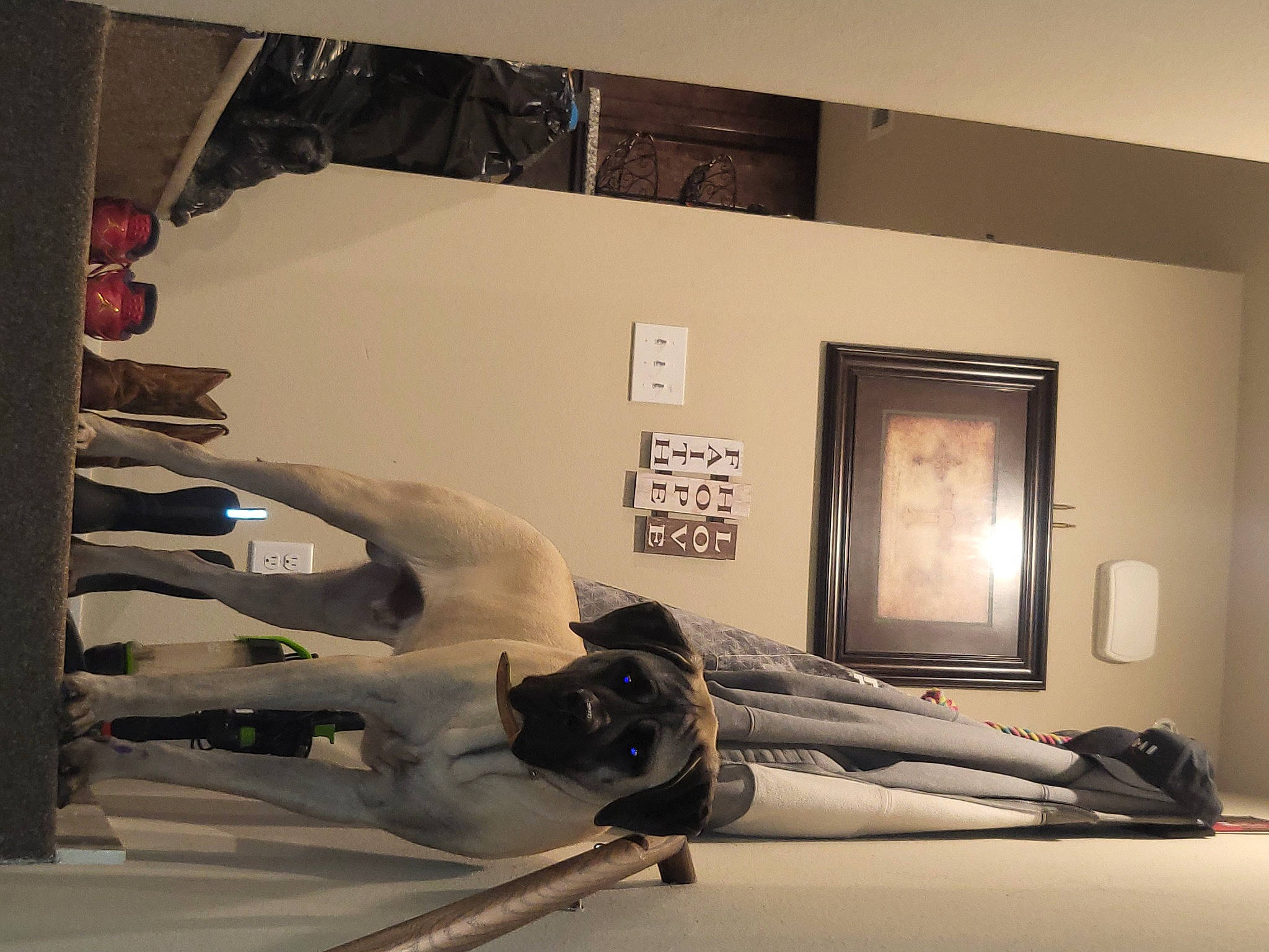 Cash is registered to the contest to win money with this photo: art, automotive_design, ceiling, comfort, elbow, event, exhibition, floor, flooring, hardwood, human_leg, modern_art, picture_frame, plaster, room, sculpture, statue, tourist_attraction, visual_arts, wood