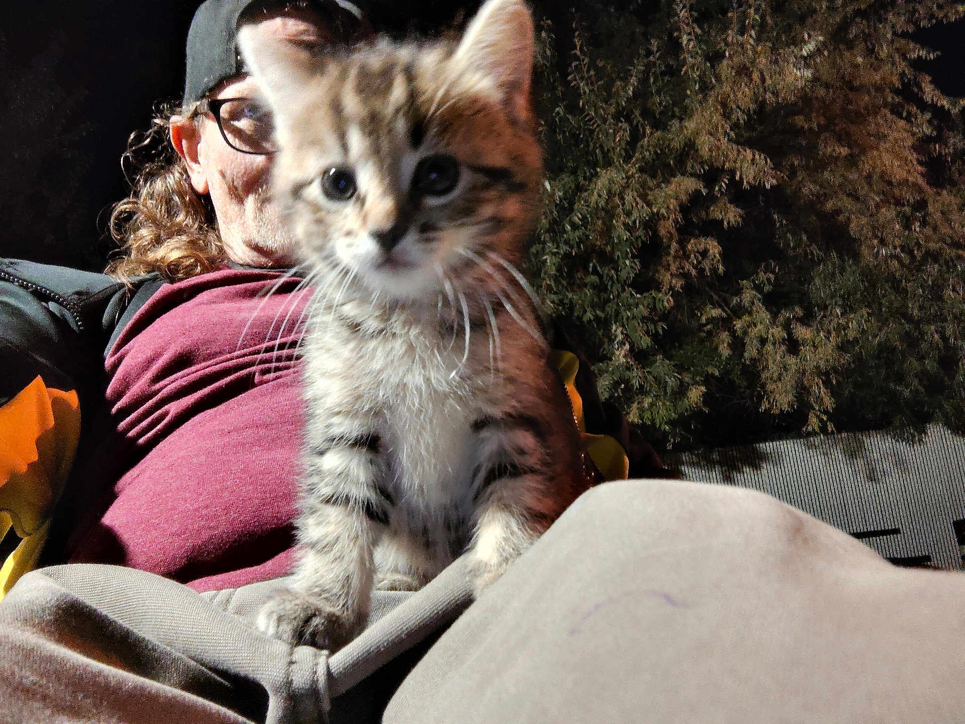 Mumma is registered to the contest to win money with this photo: kitten, cat, person, glasses, cap, outdoor, night, animal, pet, fur, face, crouching, looking, portrait, clothing, tree, nature, lap, young, blurred