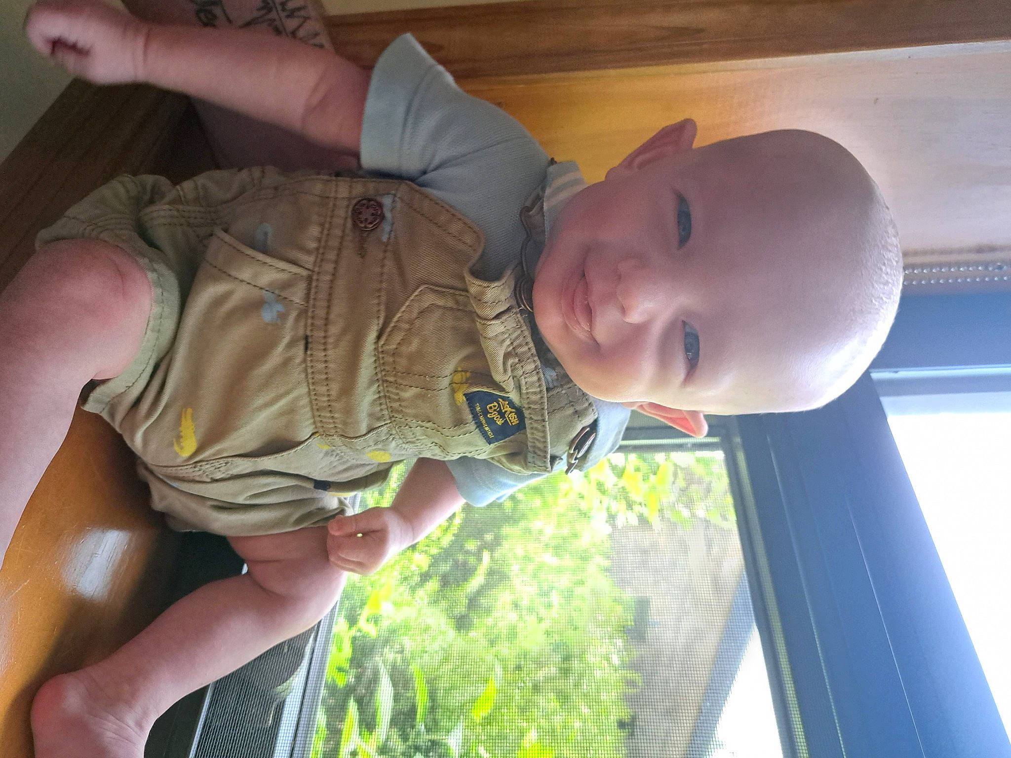 Jayden joined the competition — help win amazing prizes! arm, baby, baby_toddler_clothing, child, elbow, finger, fun, gesture, grass, happy, joint, military_camouflage, mouth, person, plant, sitting, smile, toddler, tree, vehicle_door