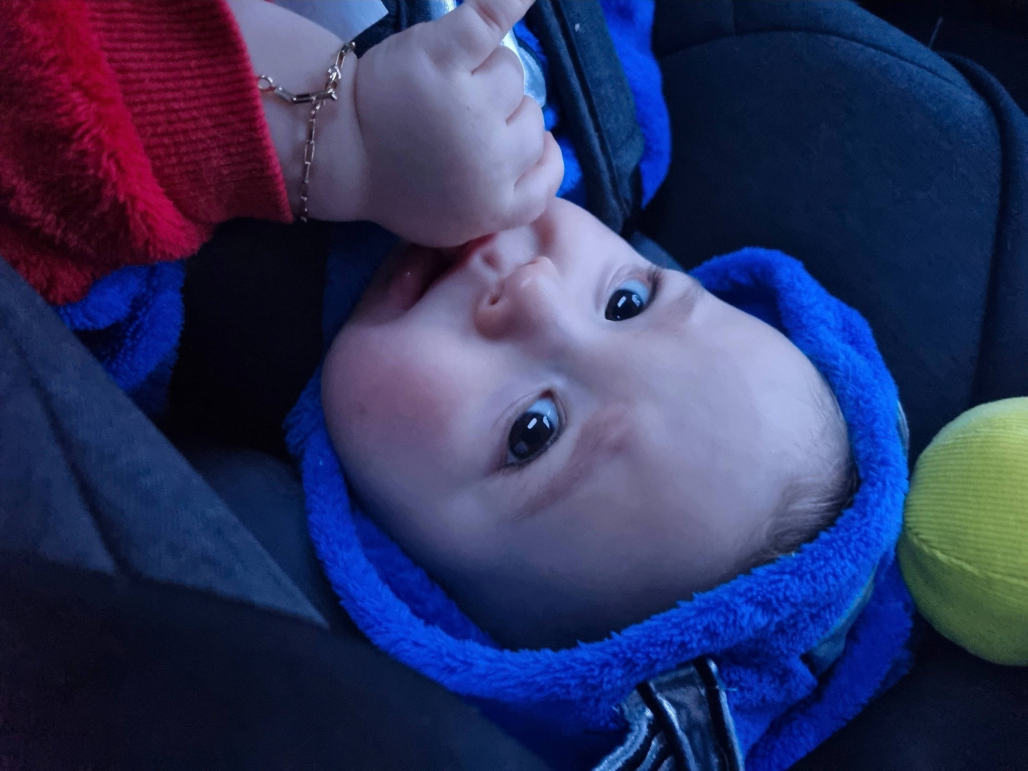 Liam participe au concours pour gagner de l'argent avec cette photo : baby, baby_products, baby_toddler_clothing, blue, cheek, child, comfort, cool, electric_blue, fun, grass, happy, hat, lip, nose, person, purple, skin, toddler, tree