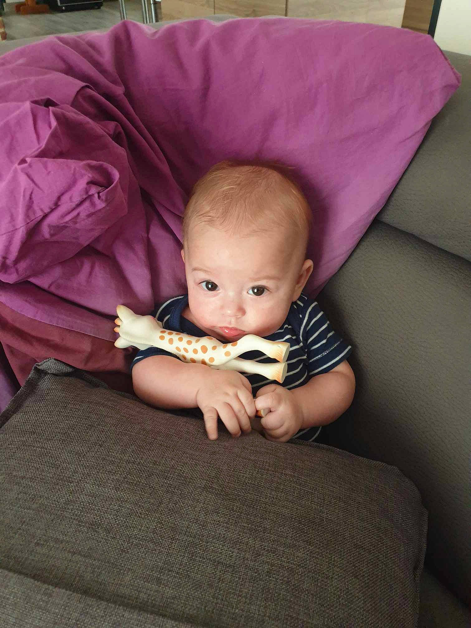 Liam participe au concours pour gagner de l'argent avec cette photo : baby, baby_carriage, baby_products, baby_toddler_clothing, cheek, comfort, flash_photography, hairstyle, iris, lap, linens, magenta, mouth, person, pink, purple, room, sitting, sleeve, toddler