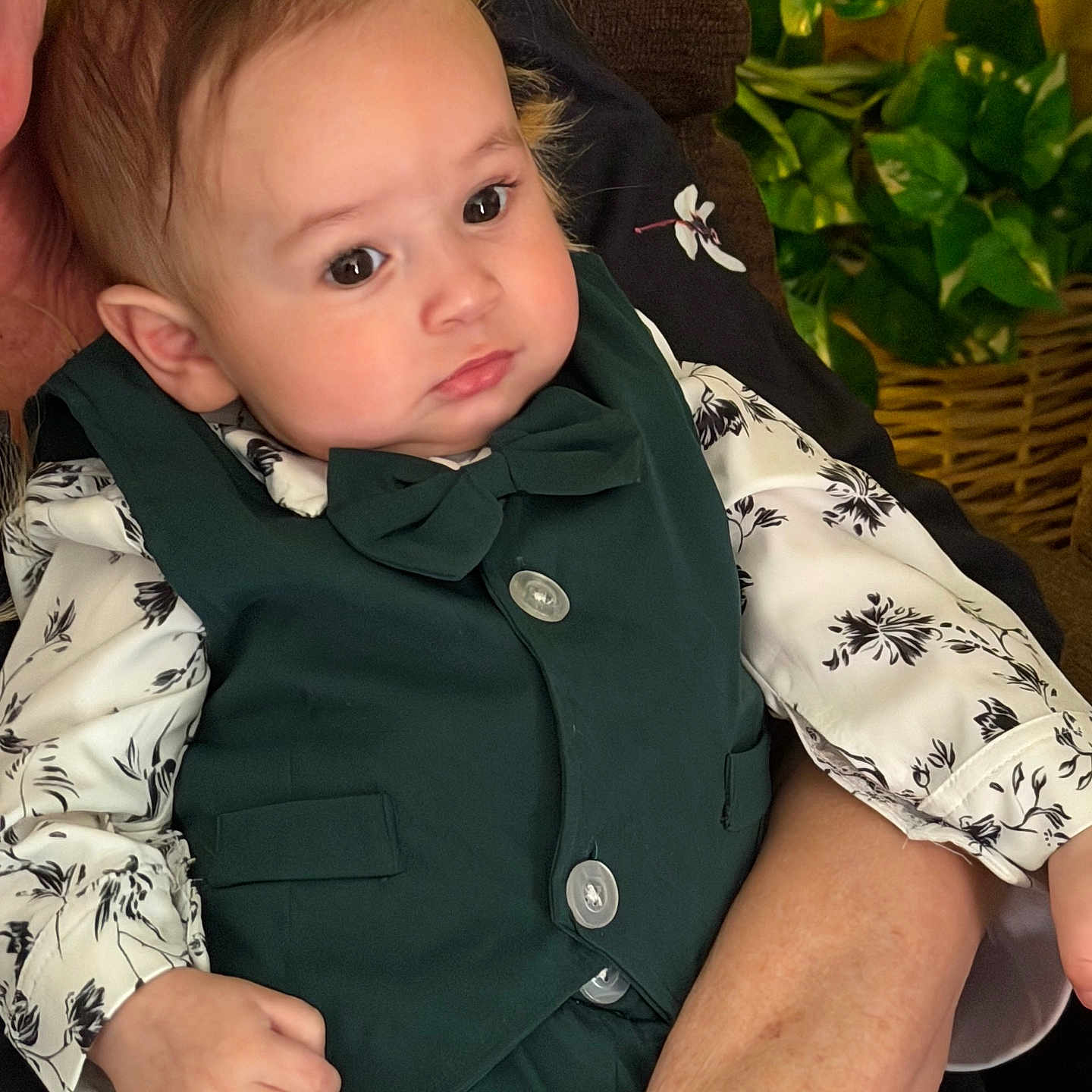 Logan joined the competition — help win amazing prizes! adult, baby, bow_tie, brown, child, clothing, cute, expression, face, fashion, green, hand, indoor, person, plant, portrait, seated, shirt, toddler, vest