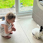 Hope participe au concours pour gagner de l'argent avec cette photo : animal, barefoot, bicycle, black_spots, child, couch, curious, daylight, dress, glass_door, green_grass, home, indoor, pet, rabbit, short_hair, squatting, tile_floor, toddler, white_rabbit