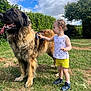 Hope a rejoint le concours — aidez-le/la à gagner de superbes lots ! animal, brushing, child, cloudy_sky, curly_hair, dog, footwear, fun, garden, grass, grass_field, greenery, hedge, nature, outdoor, pet, play, summer_clothing, sunny, toddler