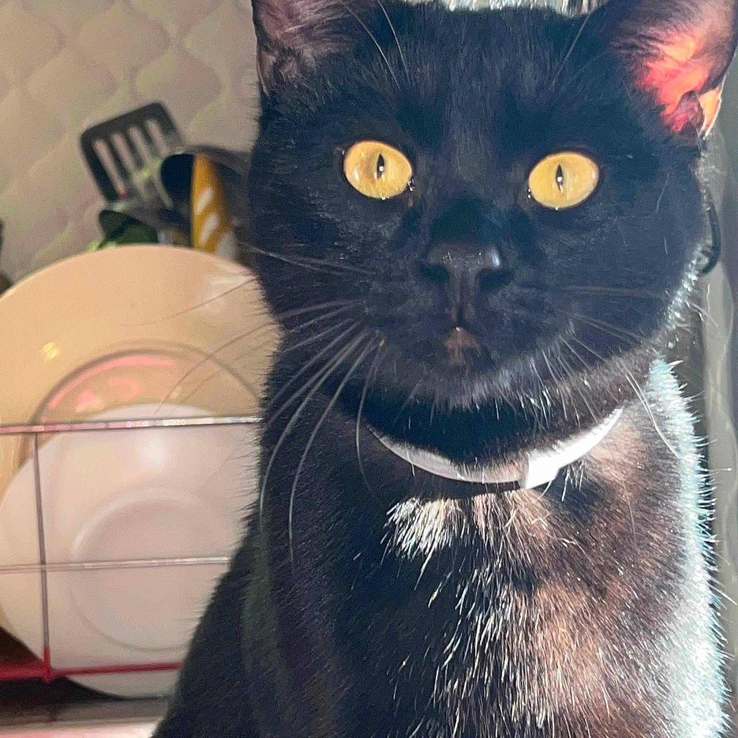 Roni