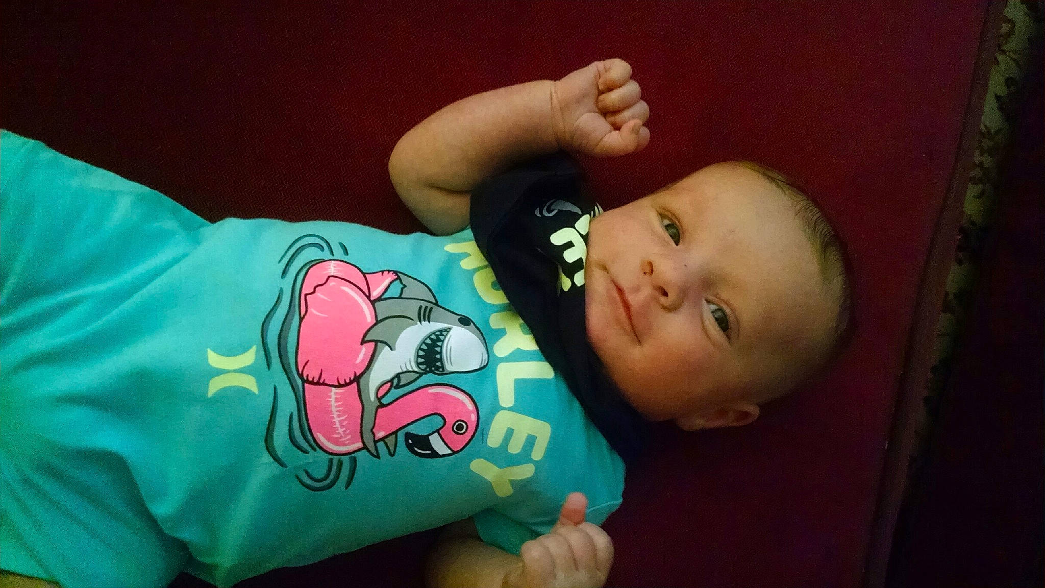 Harbor joined the competition — help win amazing prizes! arm, baby, bedtime, cheek, child, ear, finger, fun, hand, head, mouth, nose, person, pink, skin, toddler