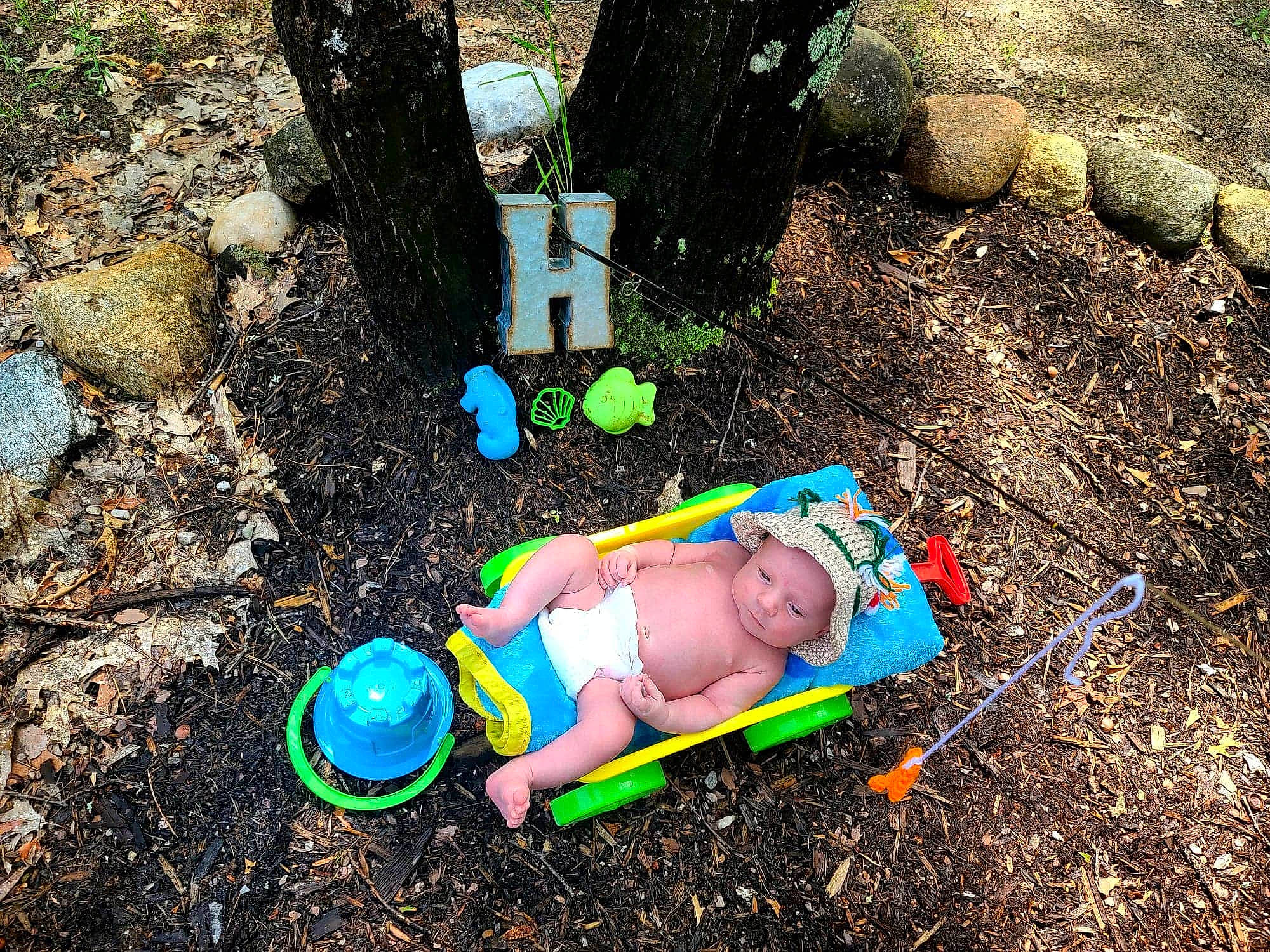 Harbor is registered to the contest to win money with this photo: child, fun, grass, green, headwear, person, plastic, play, recreation, soil, toddler, tree