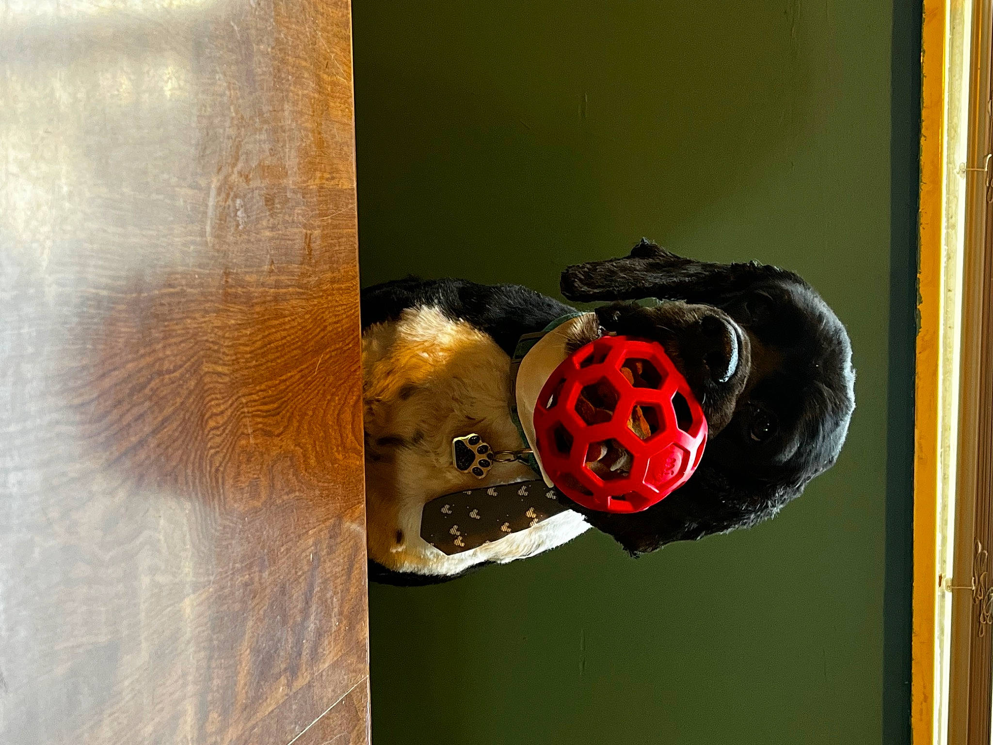 Kingsley is registered to the contest to win money with this photo: auto_part, automotive_lighting, automotive_wheel_system, carmine, circle, coquelicot, door, door_handle, glass, helmet, outdoor_shoe, personal_protective_equipment, rim, room, sphere, sports_gear, visual_arts, wood