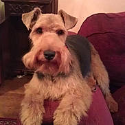 Rudy is registered to the contest to win money with this photo: