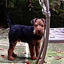 Rudy is registered to the contest to win money with this photo: