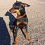 Gyps participe au concours pour gagner de l'argent avec cette photo :