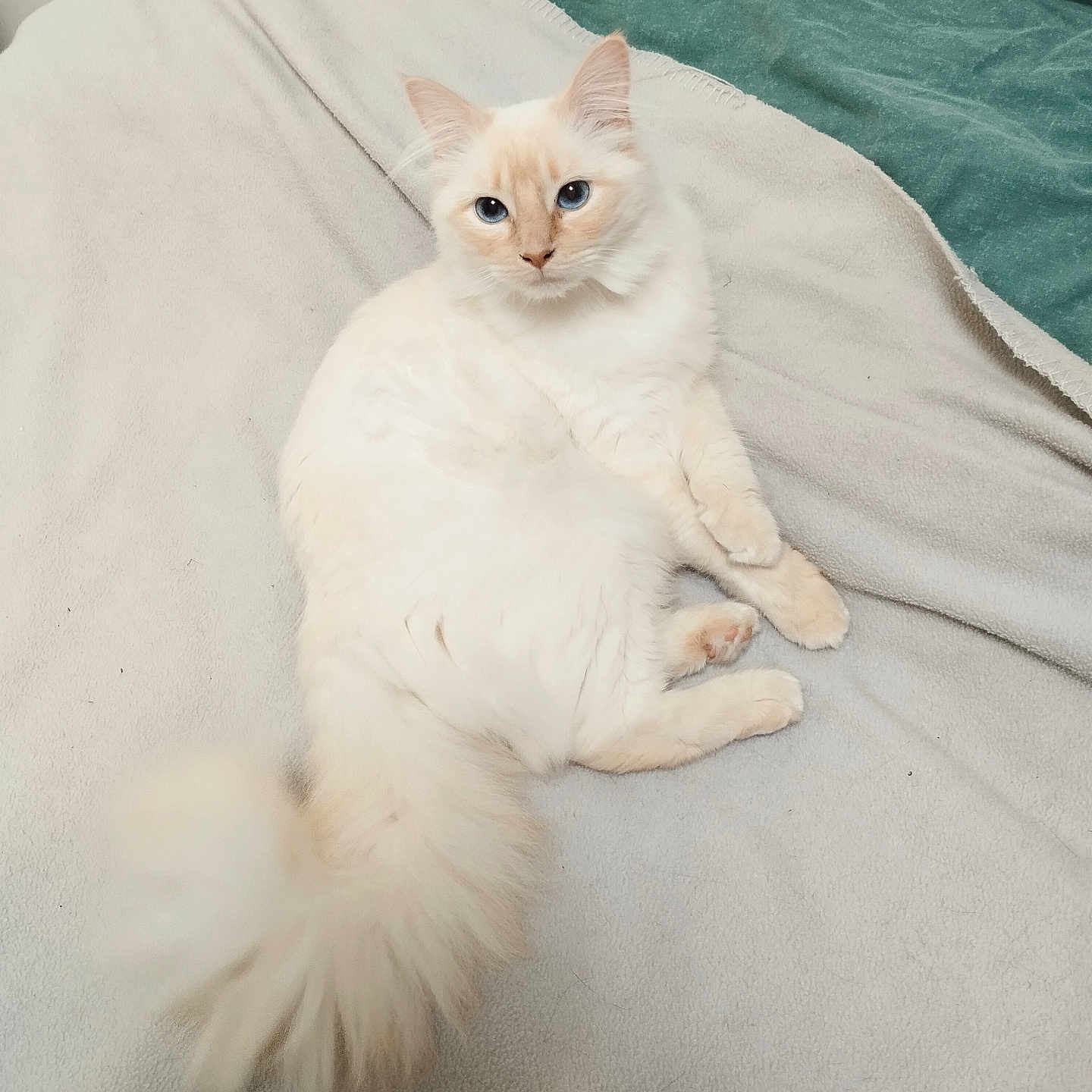 Luna