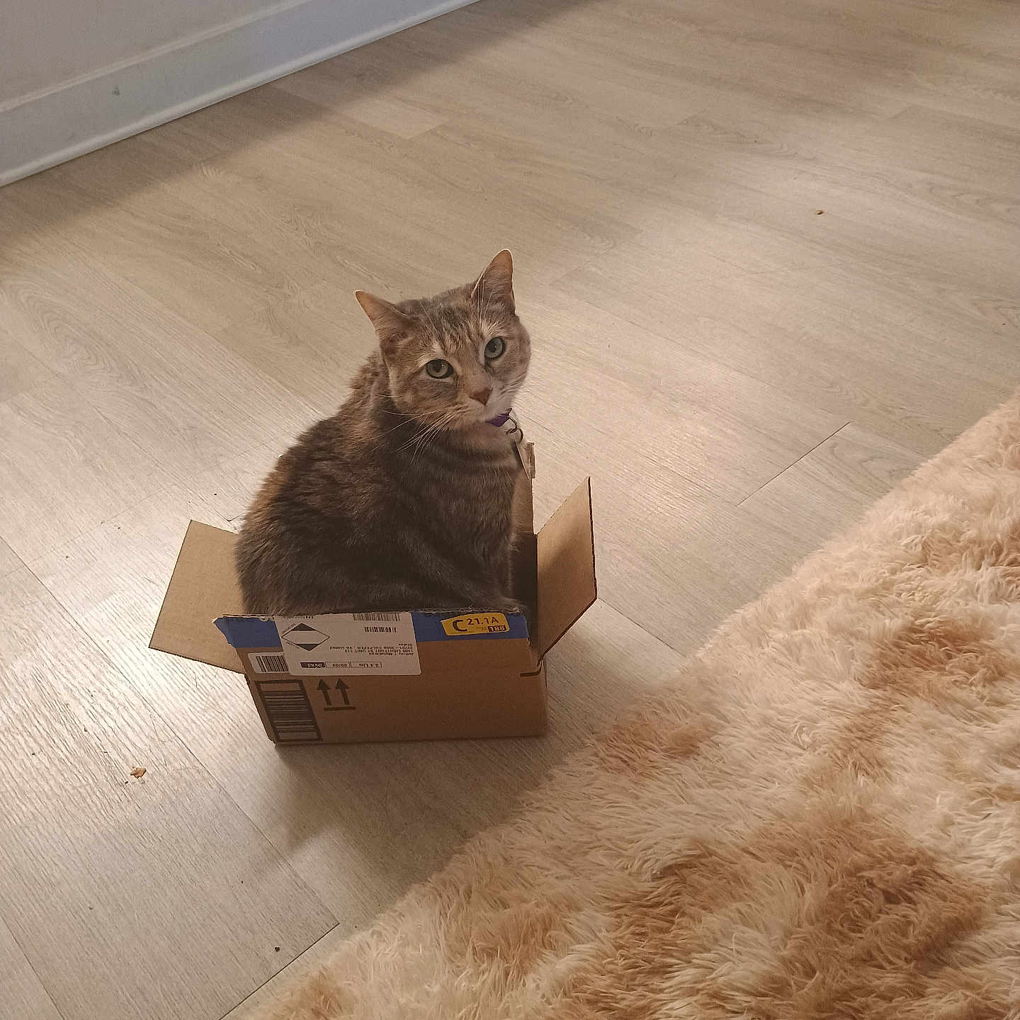 Minnie