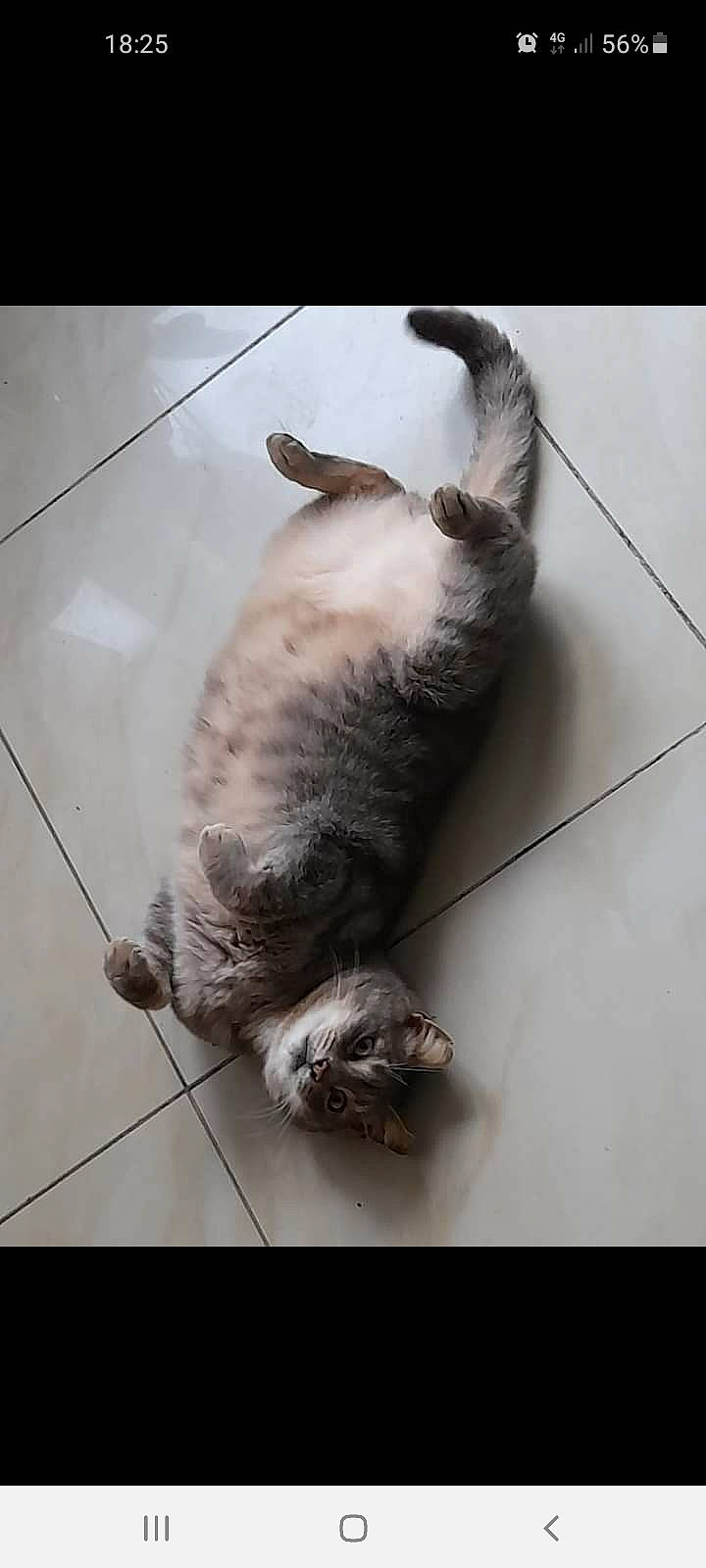 Manu
