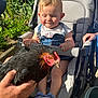 child, toddler, stroller, baby_shoes, chicken, bird, hand, outdoor, sunlight, greenery, person, animal, nature, curious, garden, daylight, clothing, denim, footwear, cute