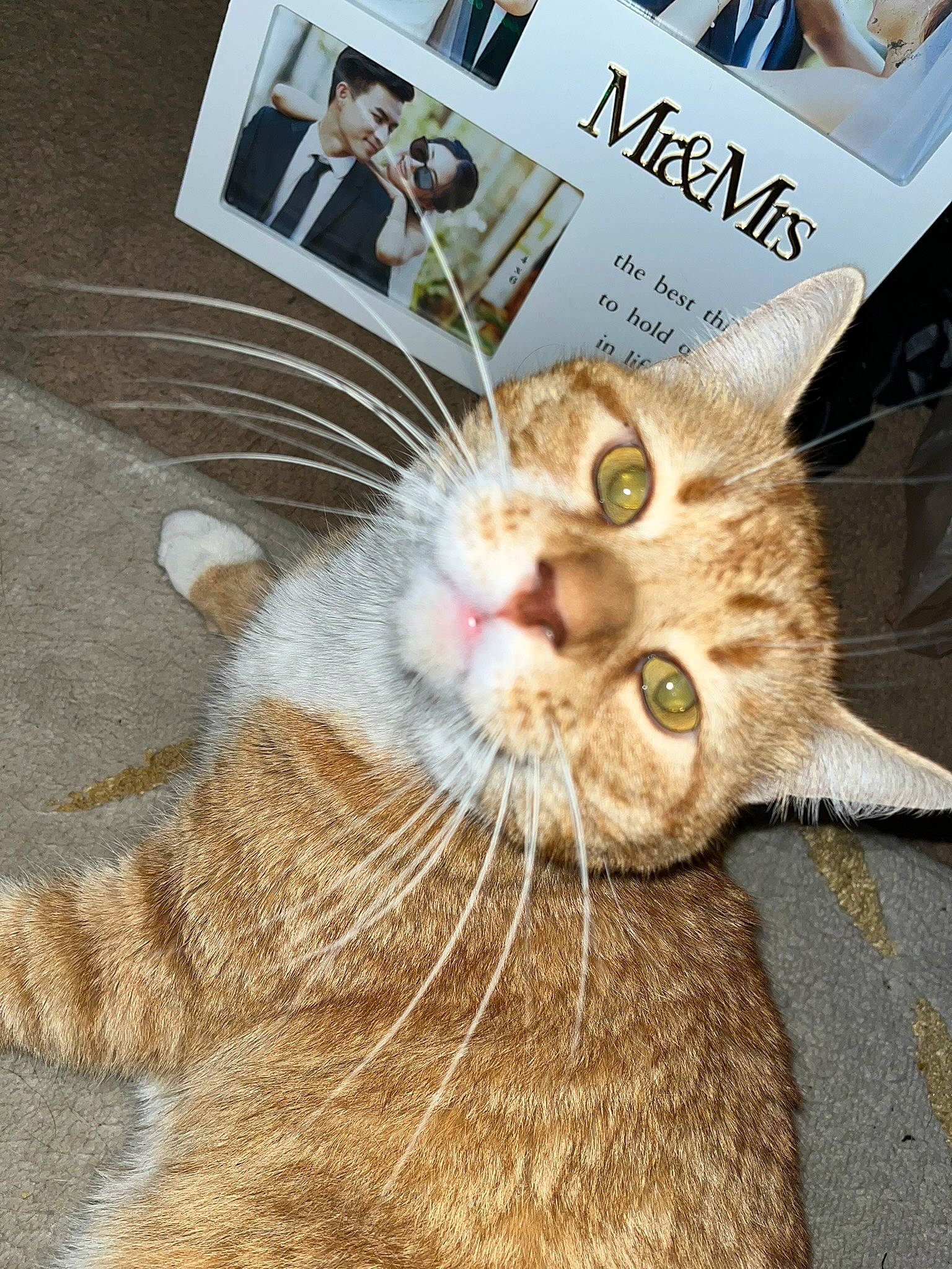 Eli